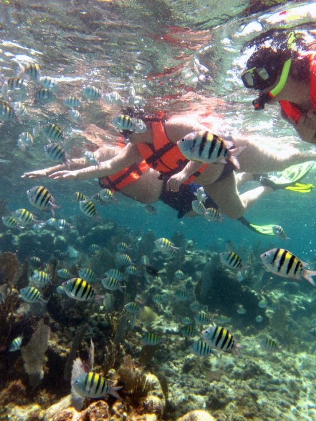 Snorkel en familia